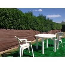 Malla verde para suelo de camping 9.8 x 23.0 ft (B)